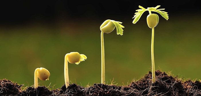 Peygamberimize Ahlakı En Çok Benzeyen Sahabi