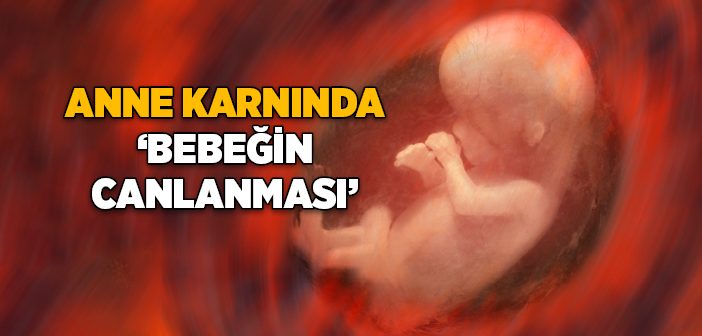 Anne Karnında ‘bebeğin Canlanması’