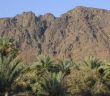 Uhud Kahramanları
