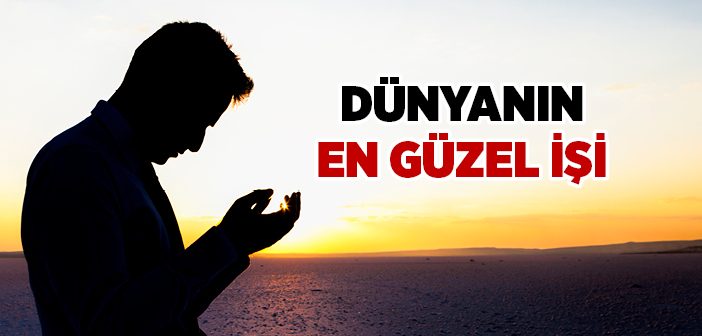 Dünyanın En Güzel İşi