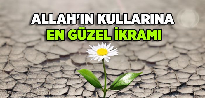 Kulluğun Özü İbadetin Ruhu