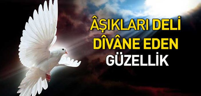 Aşıkların Deli Divane Olduğu Güzellik