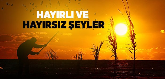 Hayırlı ve Hayırsız Şeyler