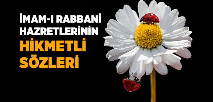 İmam-ı Rabbani Hazretlerinin Hikmetli Sözleri