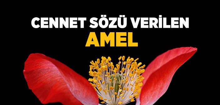 Cennet Sözü Verilen Amel
