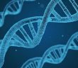 Türk Bilim İnsanları Neolitik Dönemin Dna Şifrelerini Çözecek