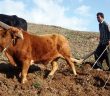 Fetihlerin Anahtarı