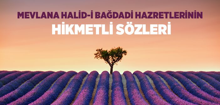 Mevlana Halid-i Bağdadi Hazretlerinin Hikmetli Sözleri