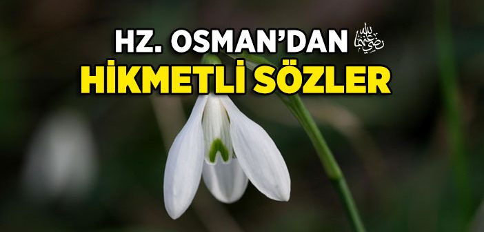 Hz. Osman’ın (r.a.) Hikmetli Sözleri