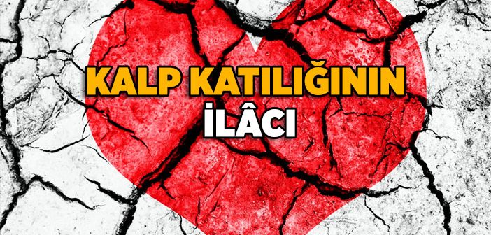 Kalp Katılığının İlacı