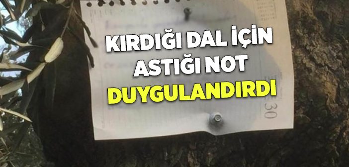 Kırdığı Dal İçin Astığı Not Duygulandırdı