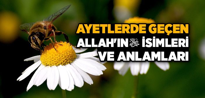 Allah’ın İsimleri İle İlgili Ayetler