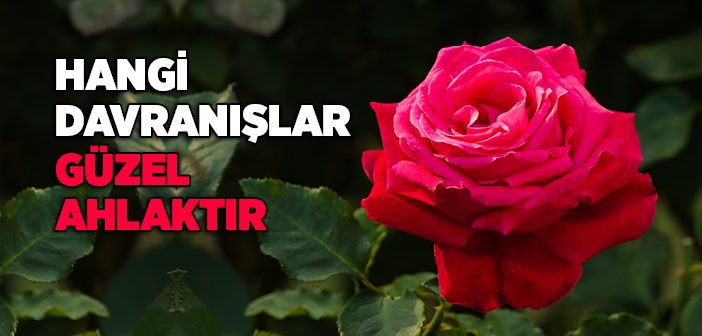 Hangi Davranışlar Güzel Ahlaktır