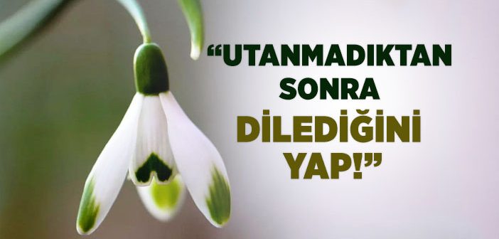 “Utanmıyorsan Dilediğini Yap!”