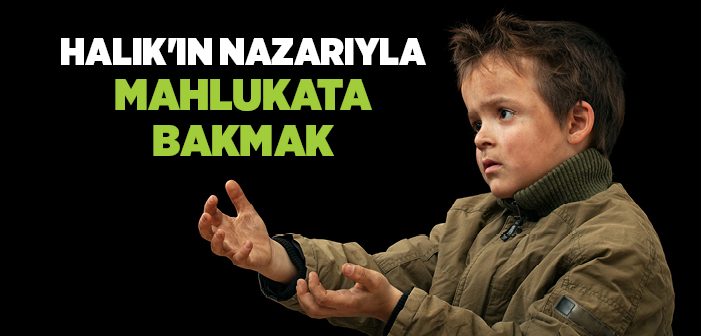 Halık'ın Nazarıyla Mahlukata Bakış