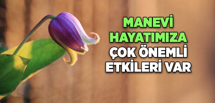 Yediklerimizin Maneviyatımıza Etkisi