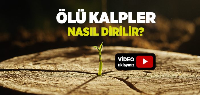 Kalp Gafletten Nasıl Kurtulur?