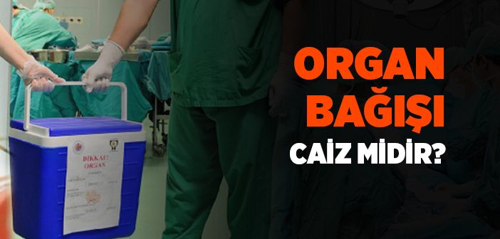 Organ Bağışı Caiz mi?