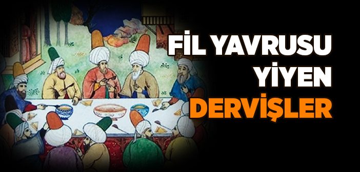 Fil Yavrusunu Yiyen Dervişler