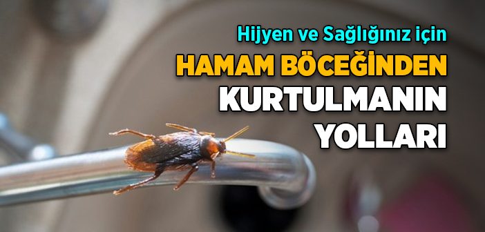 Hamam Böceğinden Nasıl Kurtulurum?