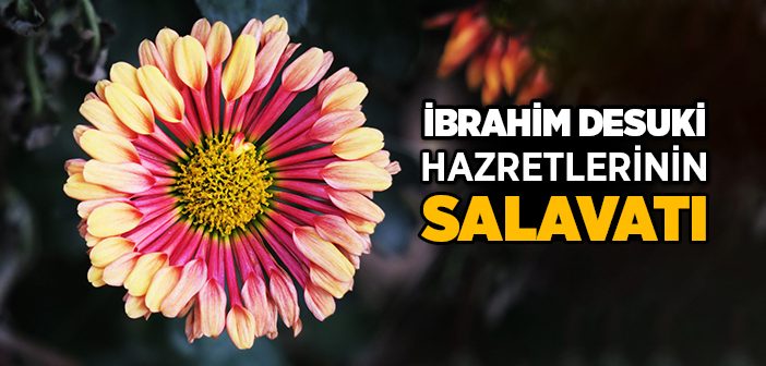 İbrahim Desuki Hazretleri’nin Salavatı