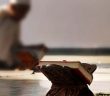 Kalbi Eğitim Nedir, Nasıl Yapılır?