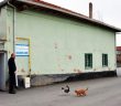 Ezanı Duyan Kediler Camiye Koşuyor!