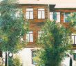 Örnek Bir Anne Fatma Feride Hanımefendi