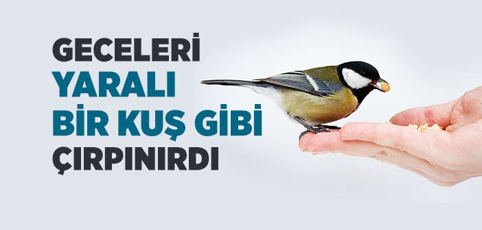 Tarihteki Merhamet Mührü