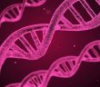 Hücrelerde Dna’nın Yeni Bir Yapısı Keşfedildi