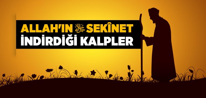 Allah'ın Sekînet İndirdiği Kalpler