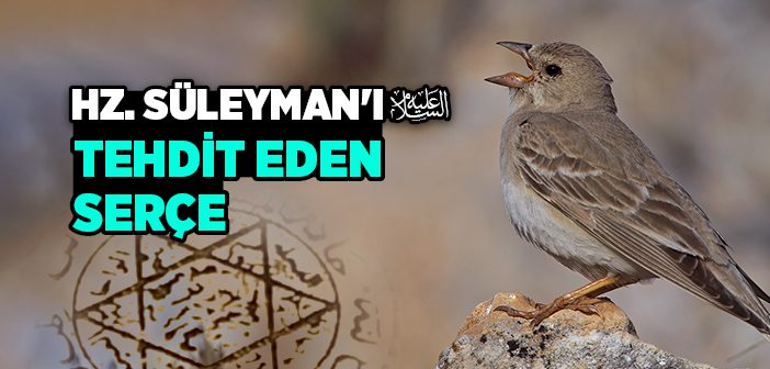 Hz. Süleyman'ı (a.s) Tehdit Eden Serçe