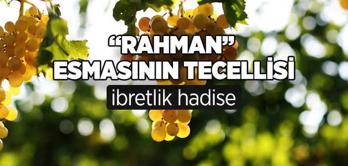 “Rahman” Esmasının Tecellisi