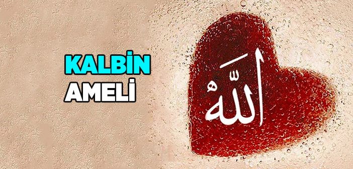 Kalbin Ameli Nedir?