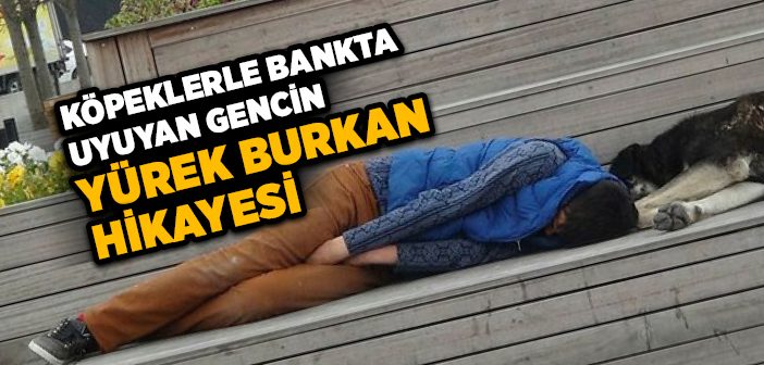 Yalnızlığını Köpeklerle Paylaşan Genç