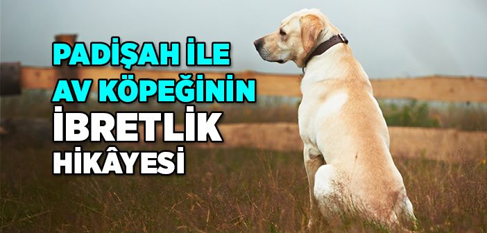 Padişah İle Av Köpeğinin İbretlik Hikâyesi