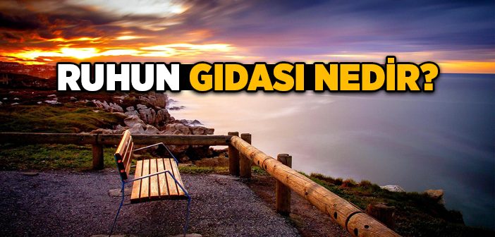 Ruhun Gıdası Nedir?