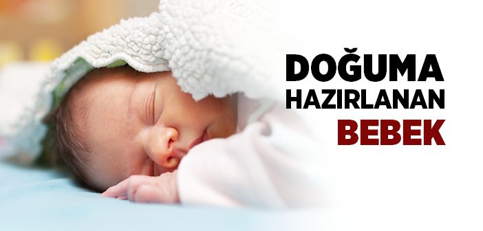 Doğuma Hazırlanan Bebek