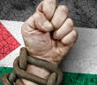 İslam Dünyasının Dinmeyen Acısı