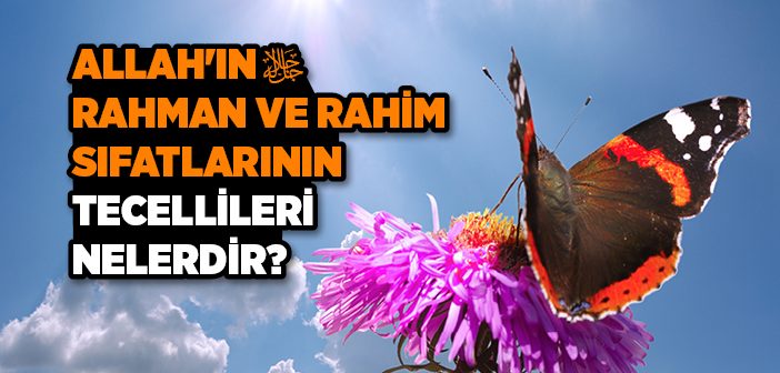 Allah'ın Rahman ve Rahim Sıfatlarının Tecellileri Nelerdir?