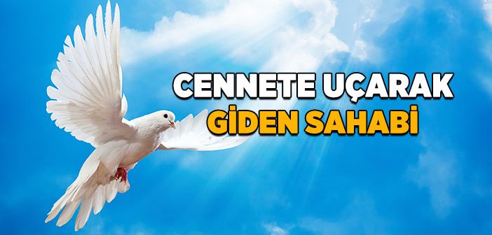Cafer-i Tayyar Kimdir?