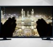 TV’de Edilen Duaya “Amin” Demekle O Duaya Katılmış Oluyor muyuz?