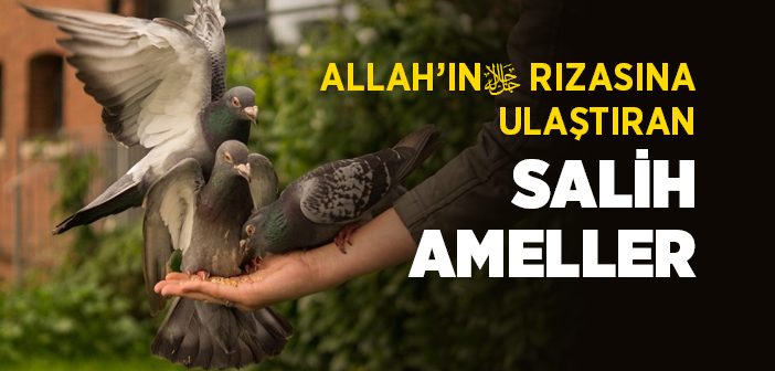 Allah’ın Rızasına Ulaştıran Salih Ameller