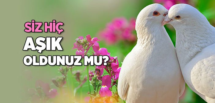 Gerçek Sevgiye Nasıl Ulaşılır?