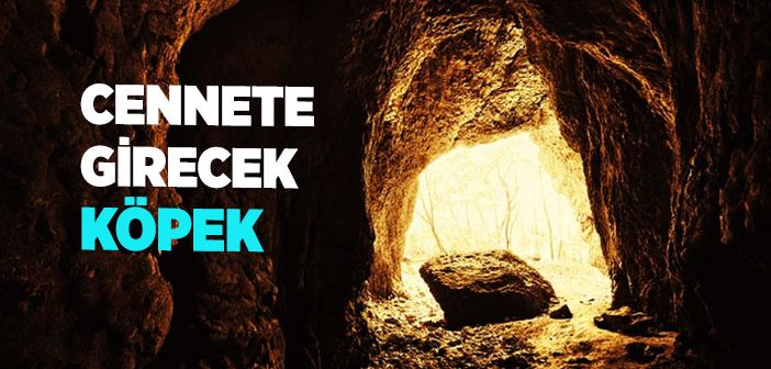 Cennete Girecek Köpek