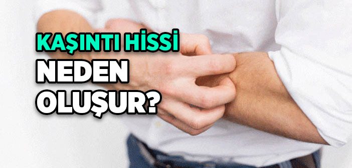 Kaşıntı Hissi Neden Oluşur?