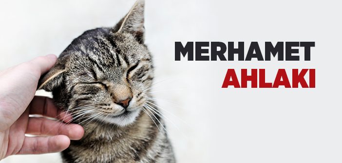 Merhamet Ahlakı