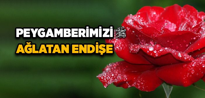 Peygamberimizi Ağlatan Endişe