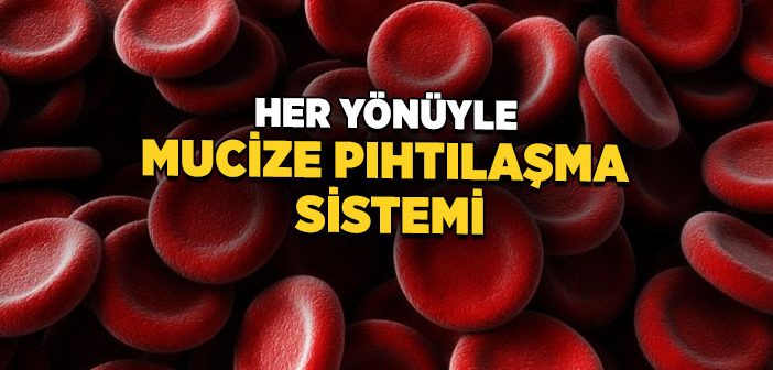 Kan Pıhtılaşması Nedir, Nasıl Olur?