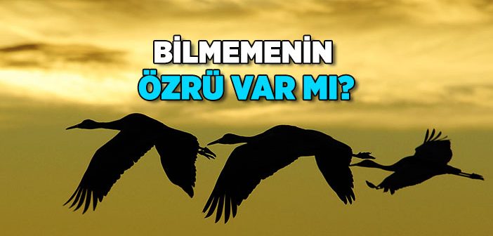 Bilmemenin Özrü Var mı?